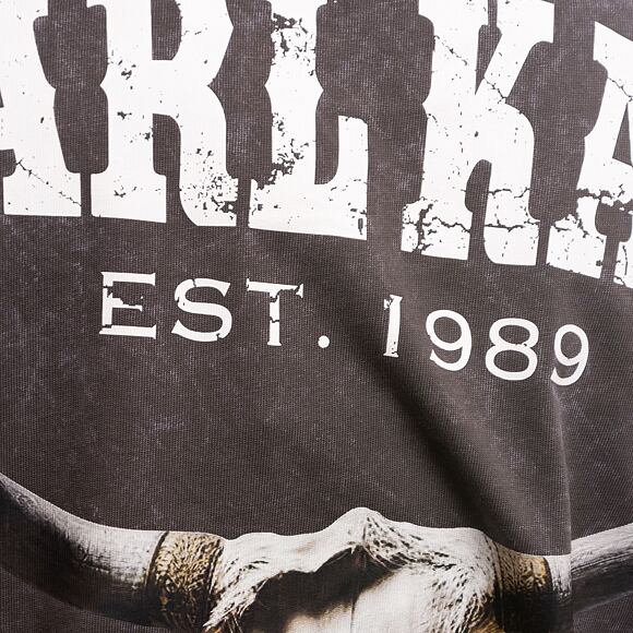 Triko Karl Kani Small Signature Washed Heavy Jersey Skull Tee anthracite