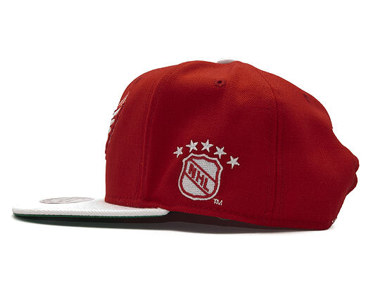 Kšiltovka Mitchell & Ness Big Logo Two Tone Detroit Red Wings Red  Snapback