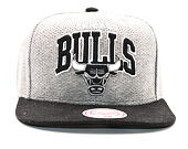 Kšiltovka Mitchell & Ness Baseline Team Arch Chicago Bulls Grey Snapback