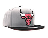 Kšiltovka Mitchell & Ness Reflective Big Logo Chicago Bulls Grey Snapback