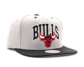 Kšiltovka Mitchell & Ness Chicago Bulls Team Arch Grey Snapback