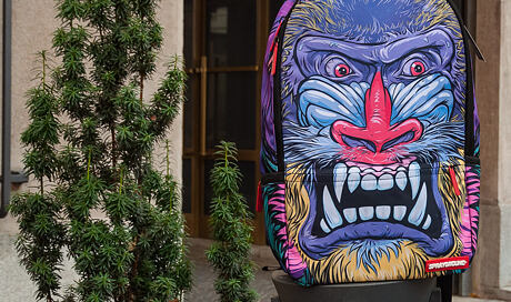 Batoh Baboon
http://www.snapbacks.cz/13026