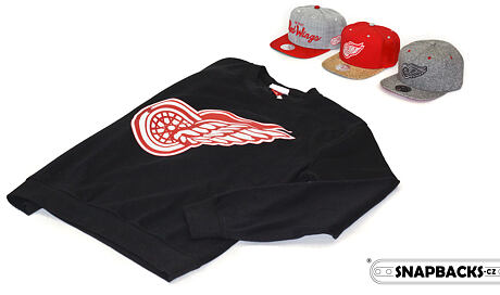 Vše od Detroit Red Wings
http://www.snapbacks.cz/?s=Red+Wings
