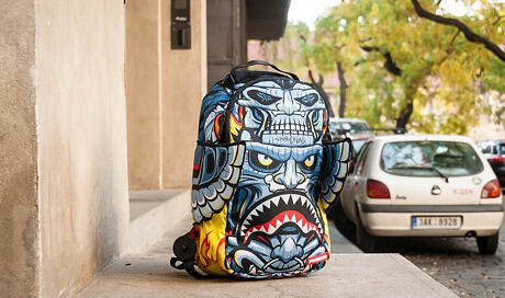 Batoh Head Hunter
http://www.snapbacks.cz/13014