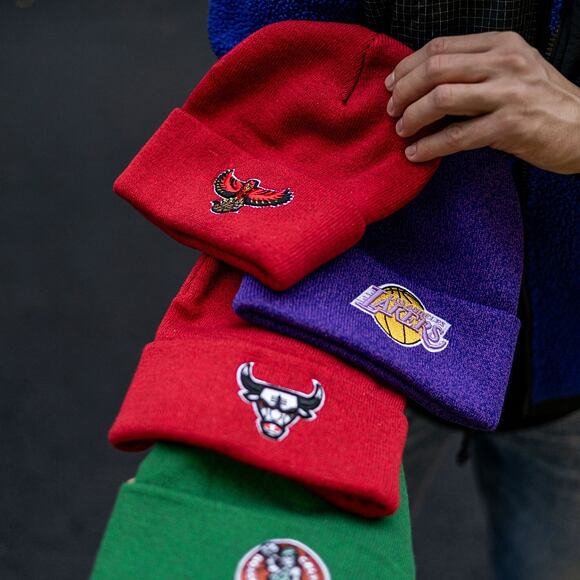 Kulich Mitchell & Ness FANDOM KNIT BEANIE HWC Toronto Raptors Purple