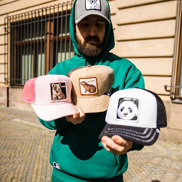 Kšiltovka Goorin - Finish Last Trucker - White