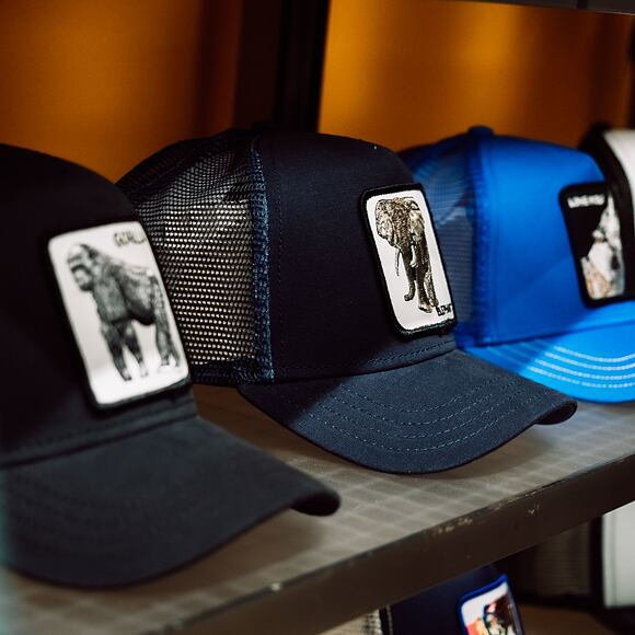 Kšiltovka Goorin - Trucker Elephant - Navy
