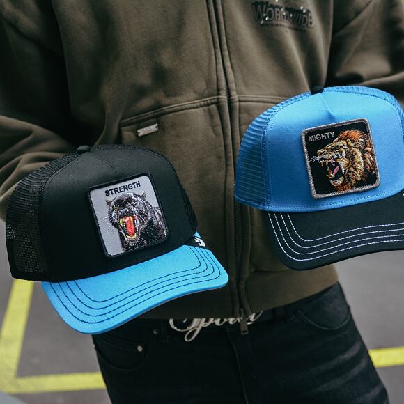 Kšiltovka Goorin - Trucker - Lion Fan - Blue