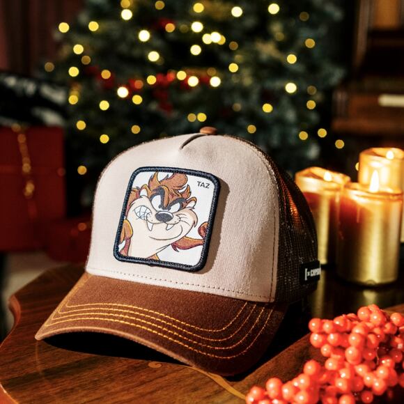 Kšiltovka Capslab - Trucker Looney Tunes - Taz - Brown