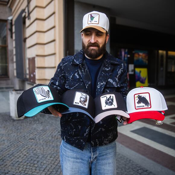 Kšiltovka Goorin - Upside Zebra - Void / Luminous