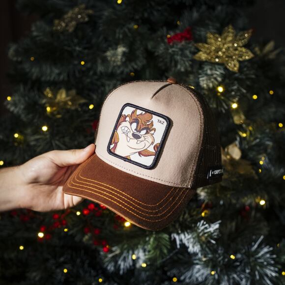 Kšiltovka Capslab - Trucker Looney Tunes - Taz - Brown