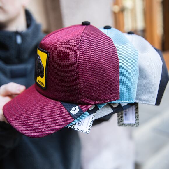 Kšiltovka Goorin - Next Gen Snake - Void