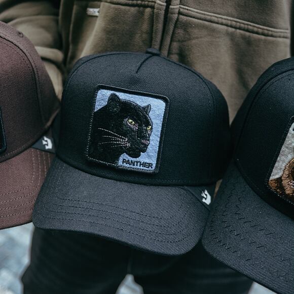 Kšiltovka Goorin - Trucker - Panther Field 100 - Black
