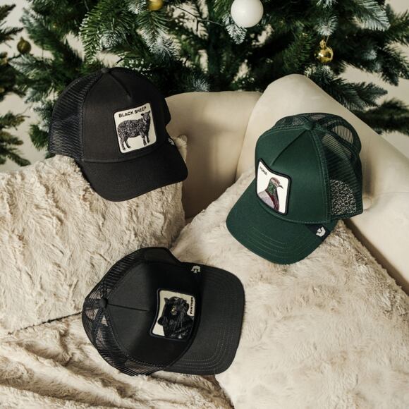 Kšiltovka Goorin - The Homie Pigeon