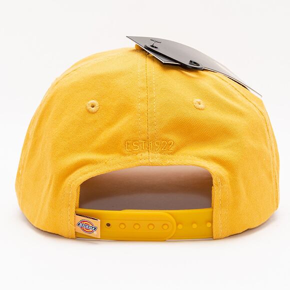 Kšiltovka Dickies 6 Panel Logo Cap C96