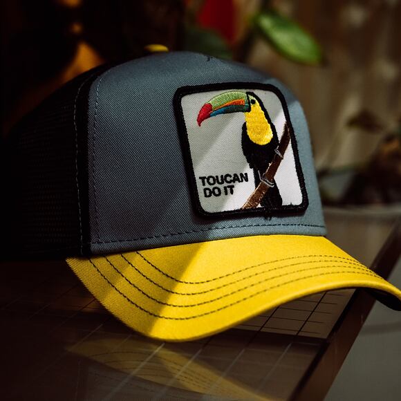 Kšiltovka Goorin - Trucker Iggy Narnar - Grey