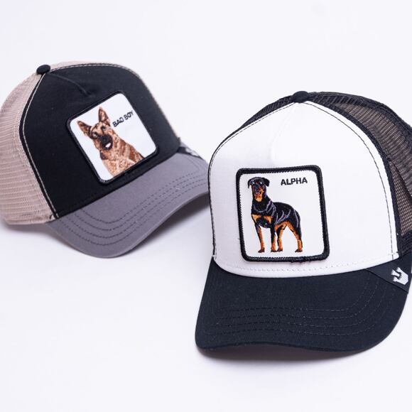 Kšiltovka Goorin - Alpha Capsule Alpha Dog - White