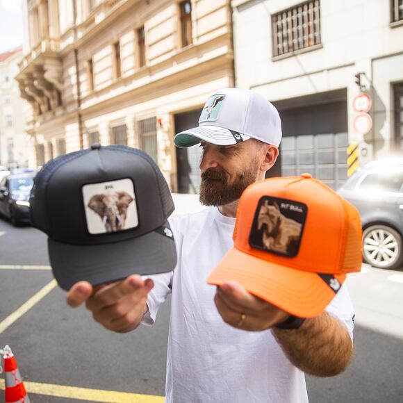 Kšiltovka Goorin - Trucker - The Big Elephant - Grey