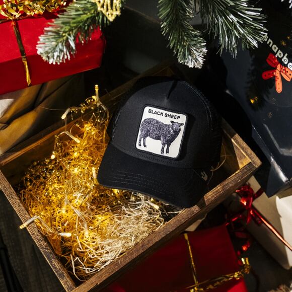 Kšiltovka Goorin - Black Sheep Trucker