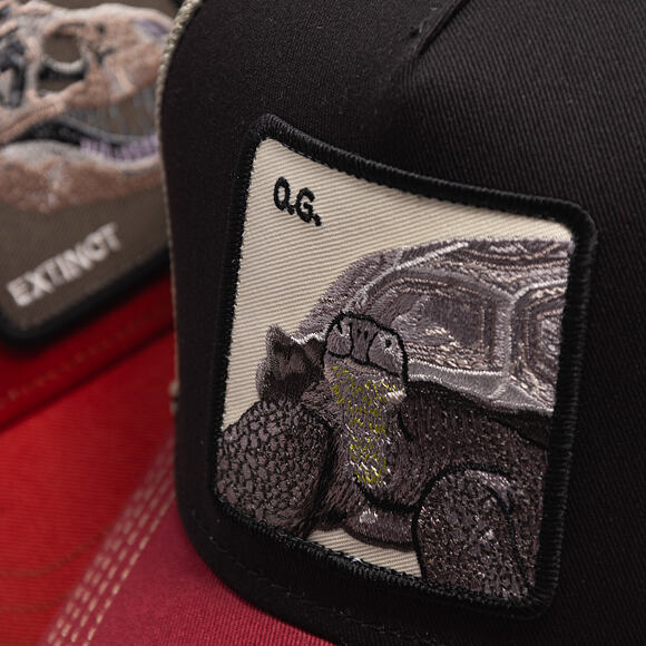 Kšiltovka Goorin - Tricolor Tortiouse - Multi Color