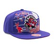 Kšiltovka Mitchell & Ness "Year of the Rabbit" Snapback HWC TORONTO RAPTORS Purple