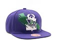 Kšiltovka Mitchell & Ness NBA Paint By Number Snapback HWC Bucks Purple