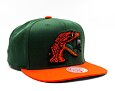 Kšiltovka Mitchell & Ness NCAA Team 2 Tone 2.0 Snapback Florida A&M University Green / Orange