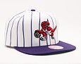 Kšiltovka Mitchell & Ness NBA Retro Pinstripe Snapback Hwc Toronto Raptors White