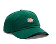 Kšiltovka Dickies Hardwick Aventurine