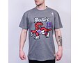 Triko Mitchell & Ness INTL972 Toronto Raptors Vince Carter 15 Grey