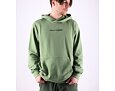 Mikina Helly Hansen Core Graphic Sweat Hoodie Jade 2.0