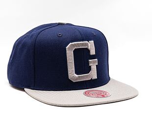 Kšiltovka Mitchell & Ness NCAA Team 2 Tone 2.0 Snapback Georgetown University Navy / Grey