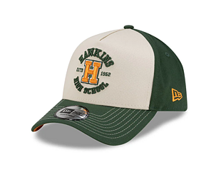 Kšiltovka New Era - Hawkings High 9FORTY A-Frame - Stranger Things - Green