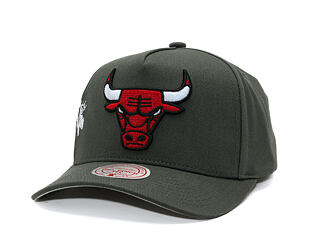 Kšiltovka Mitchell & Ness  - NBA Born To Win - Pro Pinch Snapback - Chicago Bulls - Grey