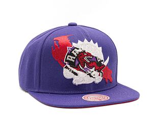 Kšiltovka Mitchell & Ness NBA Paint By Number Snapback HWC Raptors