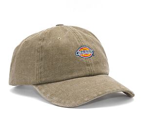 Kšiltovka Dickies HARDWICK DUCK CANVAS DK0A4Y9IDS01