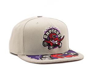Kšiltovka Mitchell & Ness NBA Munch Time Snapback HWC Raptors Grey