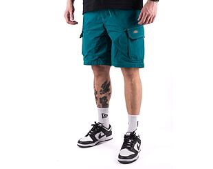 Kraťasy Dickies JACKSON CARGO SHORT DK0A4YACE641