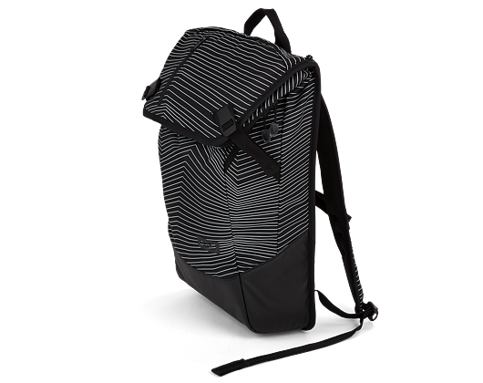 Batoh Aevor Daypack Fineline Black