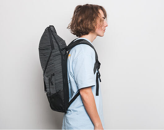 Batoh Aevor Daypack Fineline Black