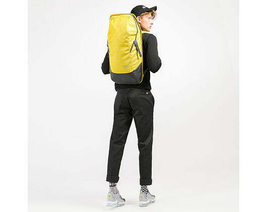 Batoh Aevor Daypack Bichrome Sub