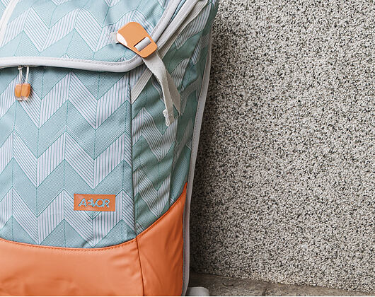 Batoh Aevor Daypack Flicker Mint Coral