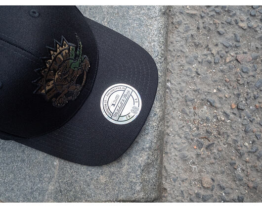 Kšiltovka Mitchell & Ness Toronto Raptors Camo Logo Snapback