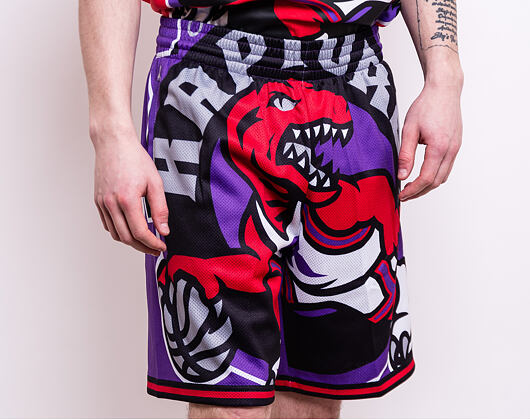Kraťasy Mitchell & Ness Toronto Raptors Big Face