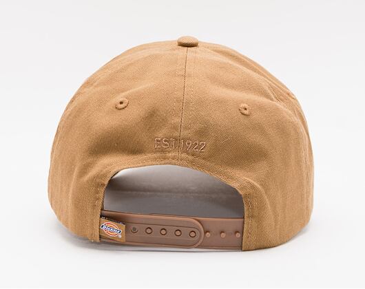 Kšiltovka Dickies Hardwick Brown BD0