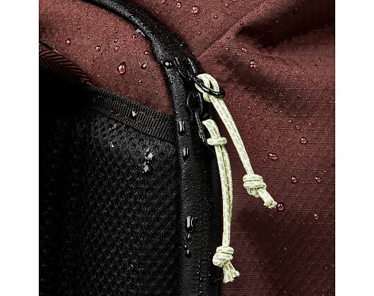 Batoh Aevor Travel Pack Proof Proof Maroon