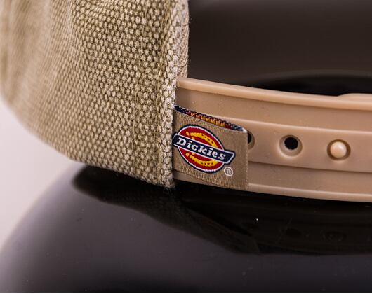 Kšiltovka Dickies HARDWICK DUCK CANVAS DK0A4Y9IDS01