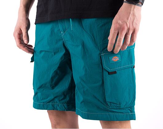 Kraťasy Dickies JACKSON CARGO SHORT DK0A4YACE641