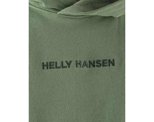 Mikina Helly Hansen Core Graphic Sweat Hoodie Jade 2.0