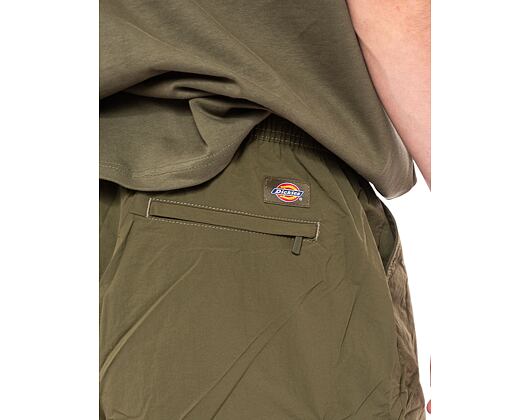 Kraťasy Dickies Jackson Cargo Short DK0A4YACMGR1